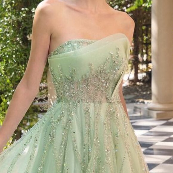 New Sage Strapless Beads Embellished A-Line Dress w/ Beaded Bodice CD A1491 - Picture 9 of 10